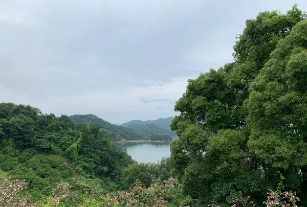今治市伊東豊雄 建築ミュージアムの写真・動画_image_379087