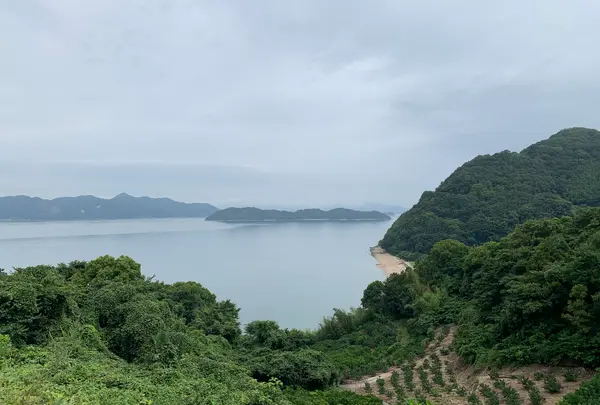 ところミュージアム大三島の写真・動画_image_379105