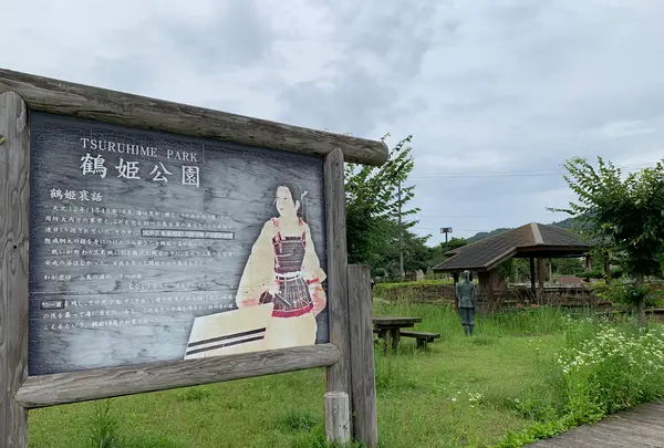 大三島藤公園の写真・動画_image_379144