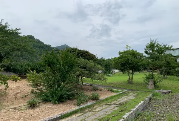 大三島藤公園の写真・動画_image_379146