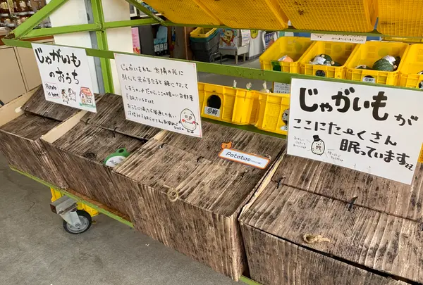 多々羅しまなみ公園の写真・動画_image_379158