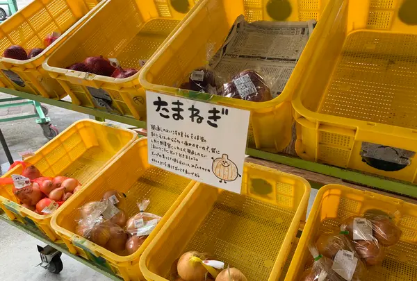 多々羅しまなみ公園の写真・動画_image_379159