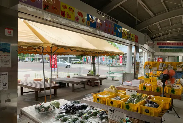 多々羅しまなみ公園の写真・動画_image_379161