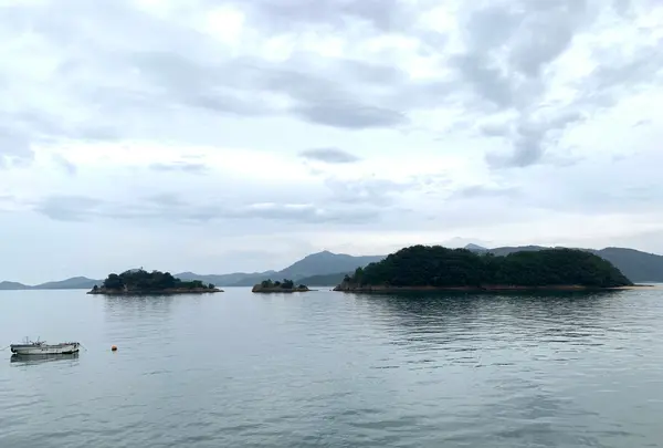 甘崎城跡の写真・動画_image_379169