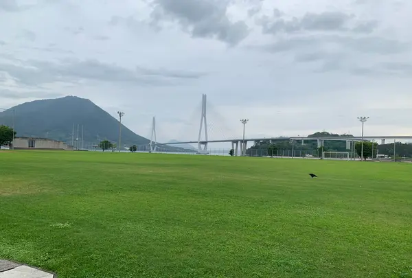 大三島多々羅スポーツ公園の写真・動画_image_379197