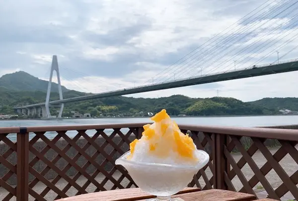 菜のはなの写真・動画_image_379590