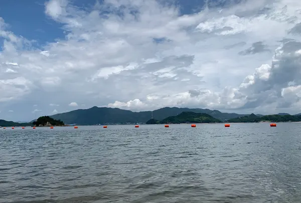 しまなみビーチの写真・動画_image_379691