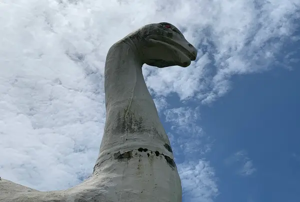 しまなみビーチの写真・動画_image_379692