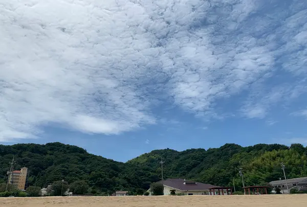 しまなみビーチの写真・動画_image_379698