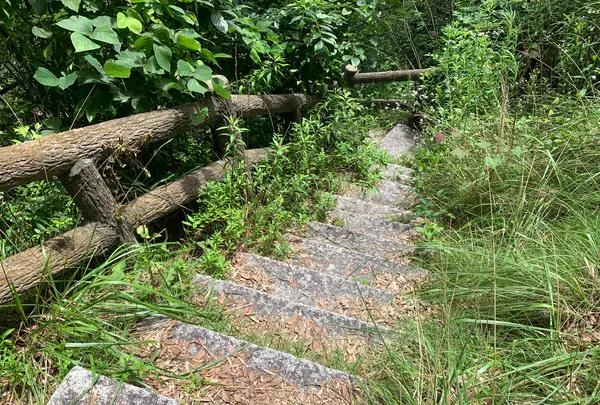 大浜埼燈台の写真・動画_image_379713