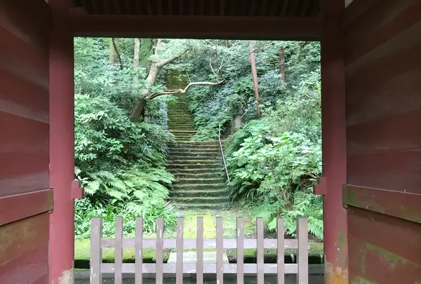 報国寺（竹寺）の写真・動画_image_379775