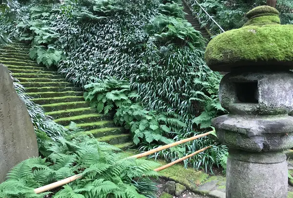 報国寺（竹寺）の写真・動画_image_379778