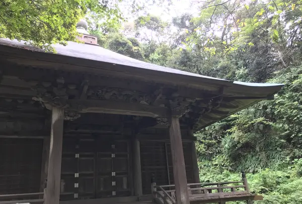 報国寺（竹寺）の写真・動画_image_379779