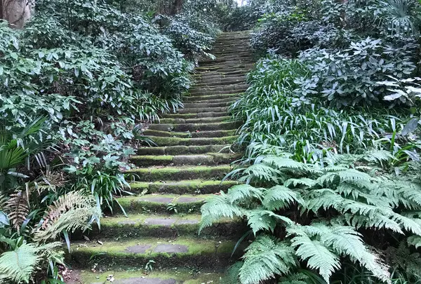 報国寺（竹寺）の写真・動画_image_379782