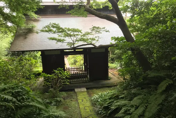 報国寺（竹寺）の写真・動画_image_379784