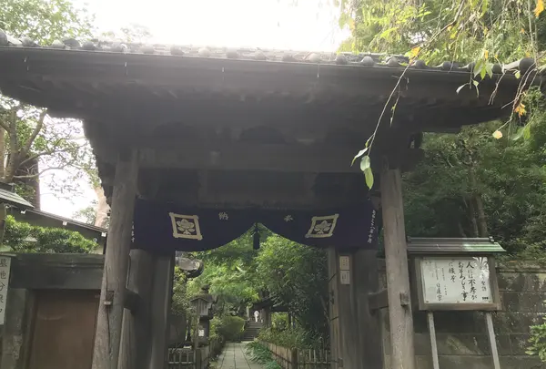 報国寺（竹寺）の写真・動画_image_379785