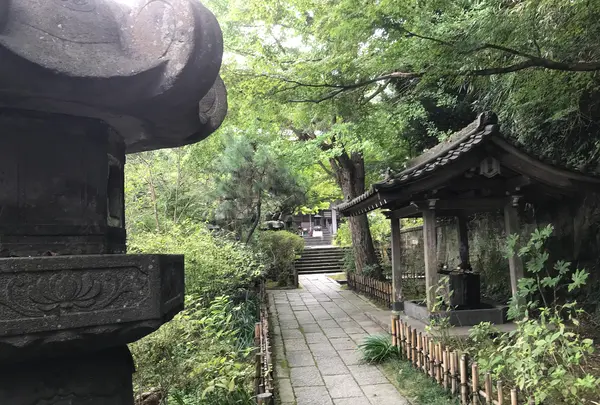 報国寺（竹寺）の写真・動画_image_379786