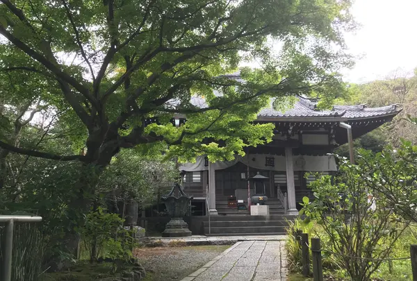 報国寺（竹寺）の写真・動画_image_379787