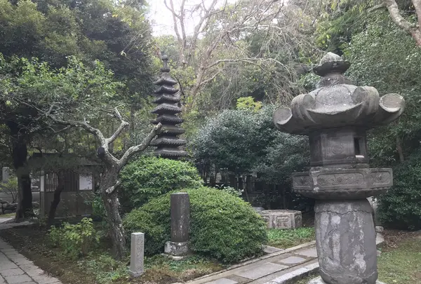 報国寺（竹寺）の写真・動画_image_379788