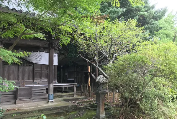 報国寺（竹寺）の写真・動画_image_379789