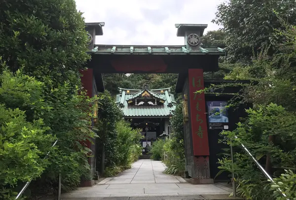 報国寺（竹寺）の写真・動画_image_379802