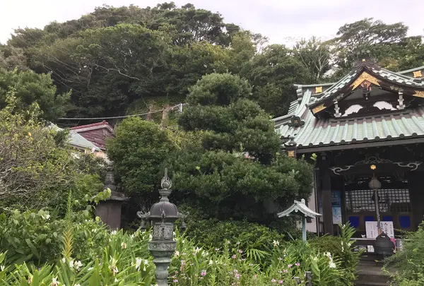 報国寺（竹寺）の写真・動画_image_379809