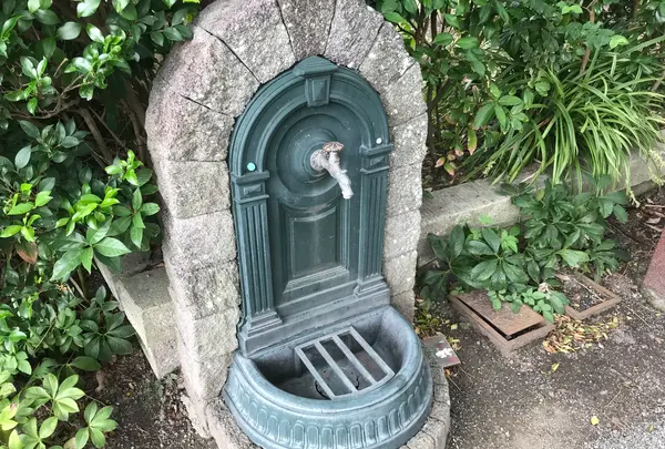 報国寺（竹寺）の写真・動画_image_379901
