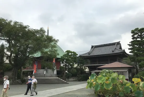 報国寺（竹寺）の写真・動画_image_379904