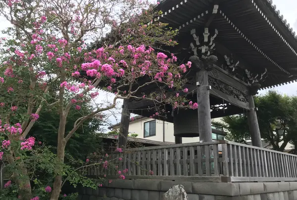 報国寺（竹寺）の写真・動画_image_379906