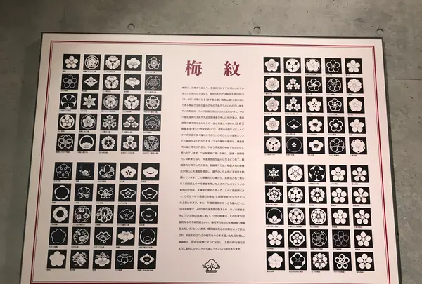 道の駅 みなべうめ振興館の写真・動画_image_380171