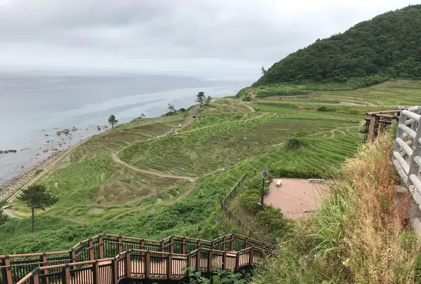 道の駅 千枚田ポケットパークの写真・動画_image_380248