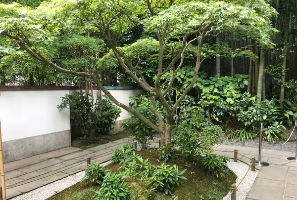 報国寺（竹寺）の写真・動画_image_380270