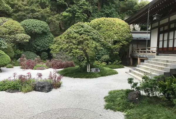 報国寺（竹寺）の写真・動画_image_380272
