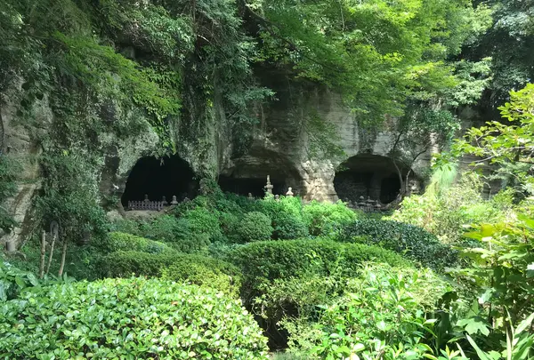 報国寺（竹寺）の写真・動画_image_380276