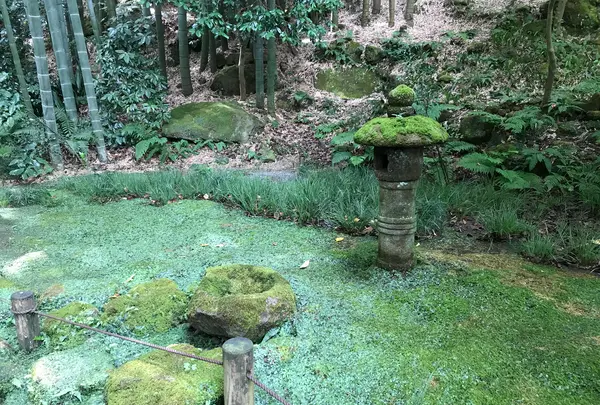 報国寺（竹寺）の写真・動画_image_380289