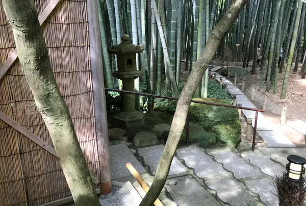 報国寺（竹寺）の写真・動画_image_380306