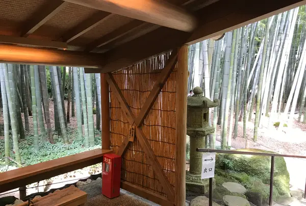 報国寺（竹寺）の写真・動画_image_380310
