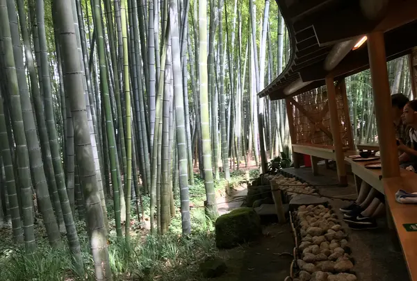 報国寺（竹寺）の写真・動画_image_380314