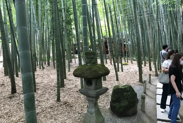 報国寺（竹寺）の写真・動画_image_380319