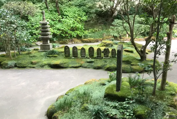 報国寺（竹寺）の写真・動画_image_380320