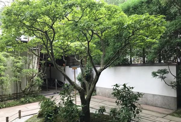 報国寺（竹寺）の写真・動画_image_380325