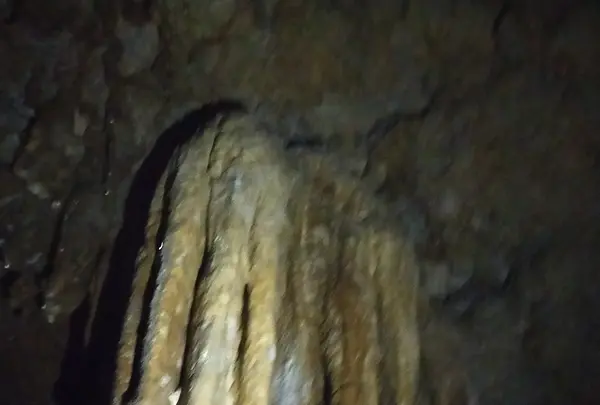 金武宮の写真・動画_image_380335