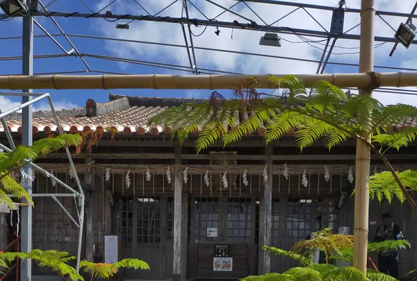 沖宮の写真・動画_image_380345