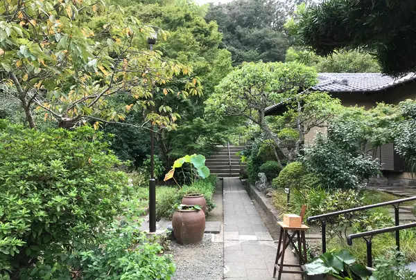 報国寺（竹寺）の写真・動画_image_380382