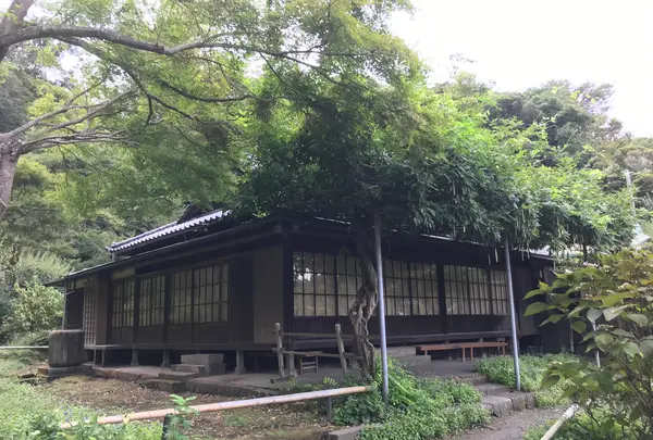 報国寺（竹寺）の写真・動画_image_380389