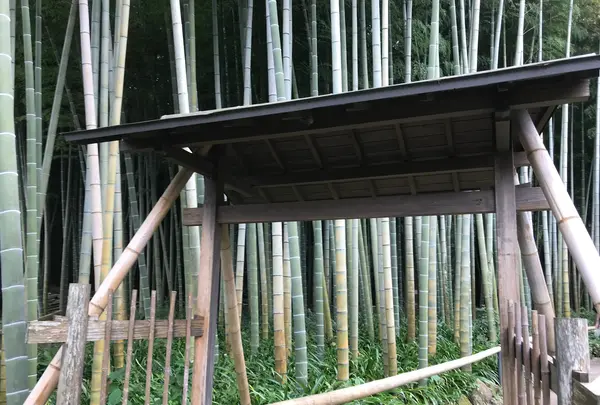 報国寺（竹寺）の写真・動画_image_380395