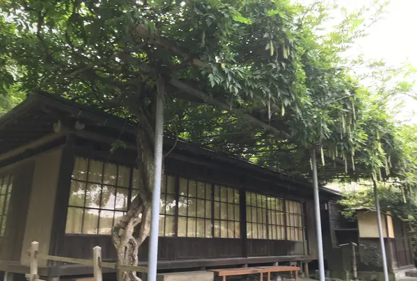 報国寺（竹寺）の写真・動画_image_380409