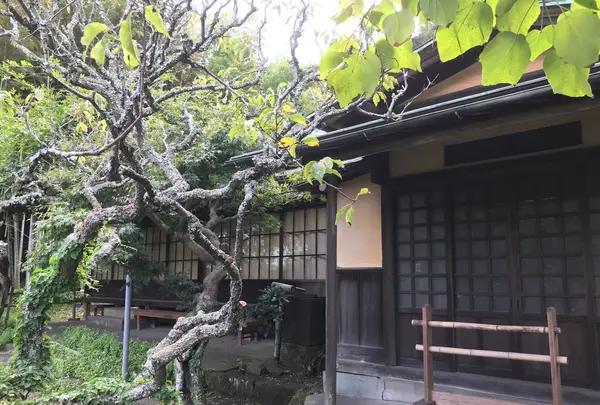 報国寺（竹寺）の写真・動画_image_380412