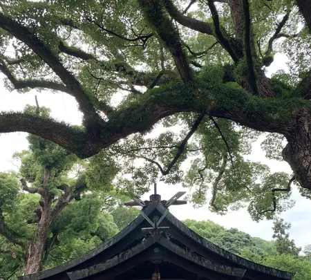 艮神社の写真・動画_image_380416