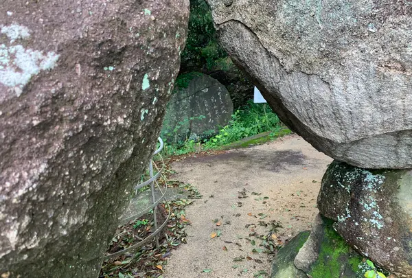 文学のこみちの写真・動画_image_380450